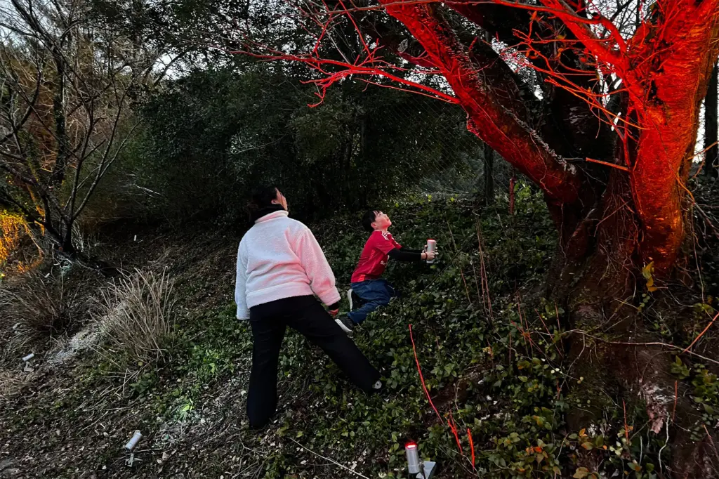 実際に照明器具とカラーフィルムで照らしてみている様子②